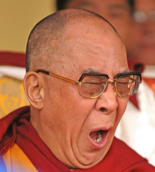 Translation Photo of Dalai Lama