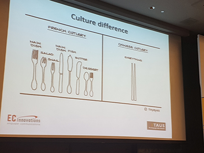 Culture Difference TAUS