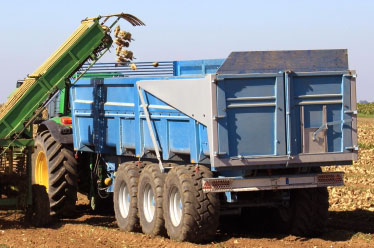 Afrikaans Canberra farming