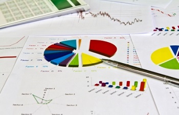 Bosnian Brisbane accountancy