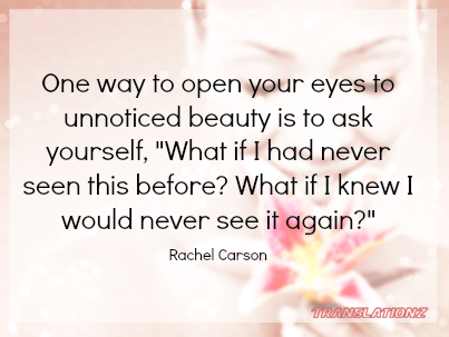 Rachel Carson Translationz