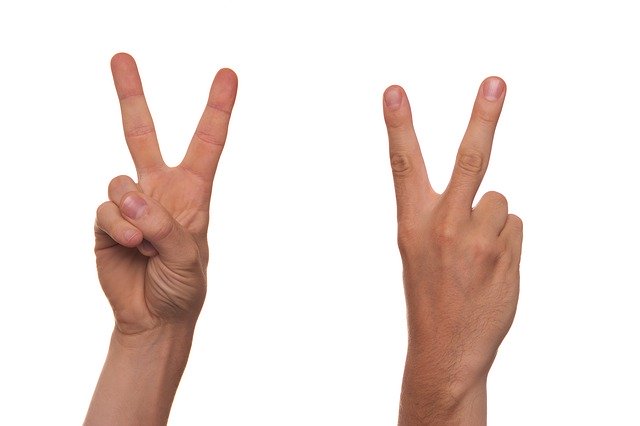 Auslan interpreter hand signal